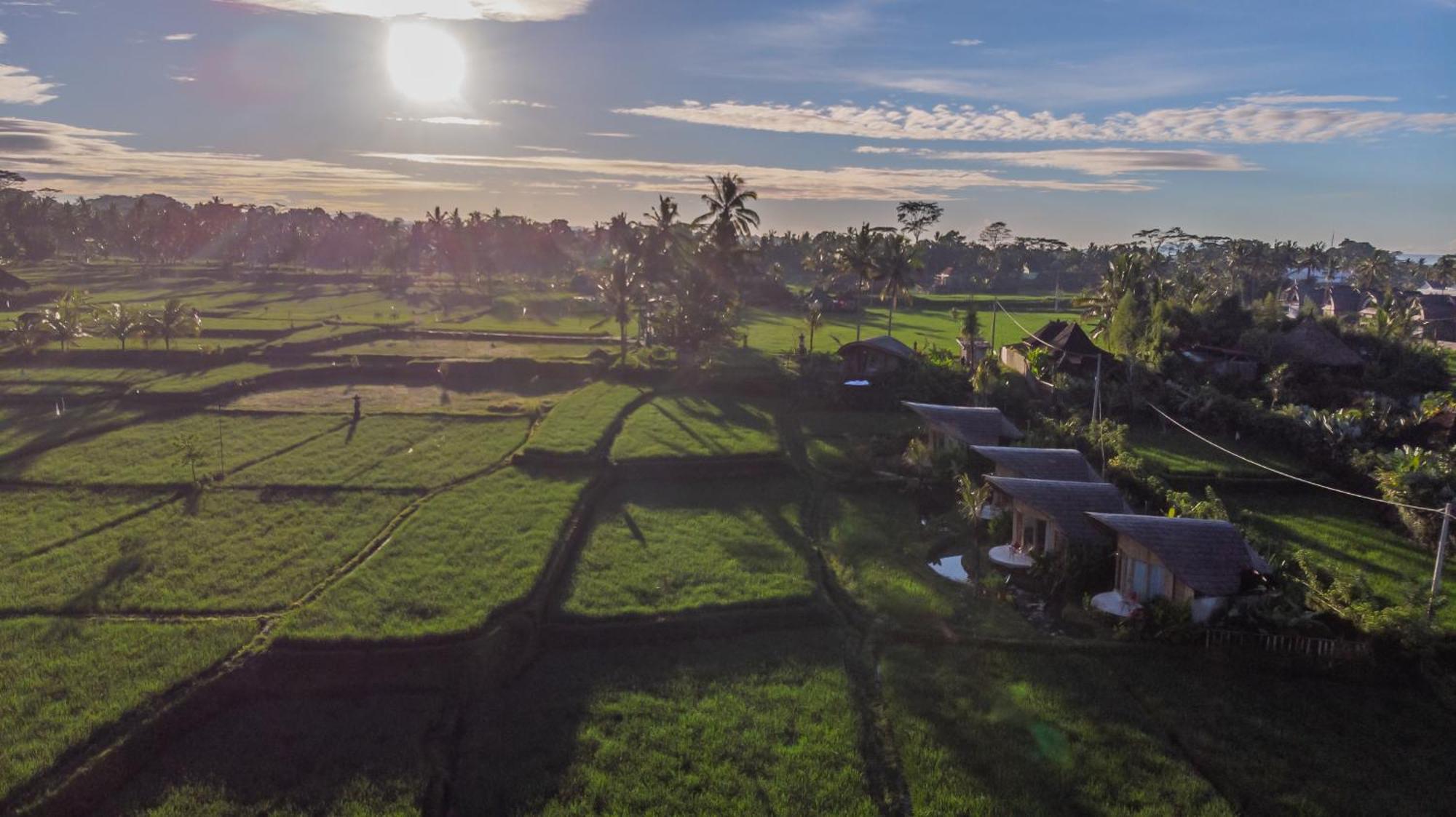 Ipian Cinta By Pramana Villas Ubud  Exterior photo